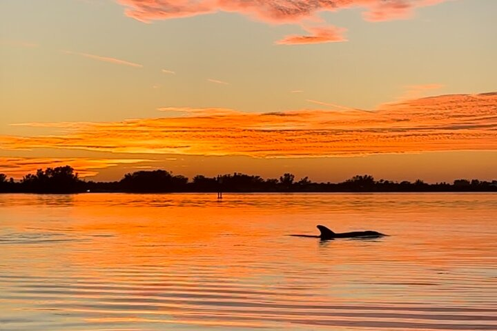Sunset Kayaking with Dolphins - Photo 1 of 25